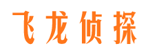 蓝山私人侦探